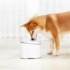 Kép 4/4 - Xiaomi Petkit Pawbby kutya és macska itató szökőkút